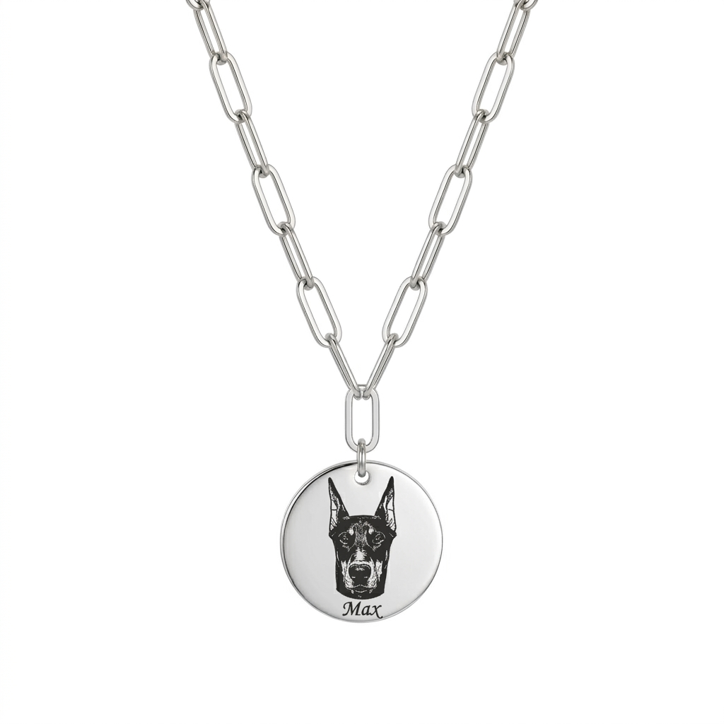Personalized Paperclip Chain Pet Portrait Necklace - Silver