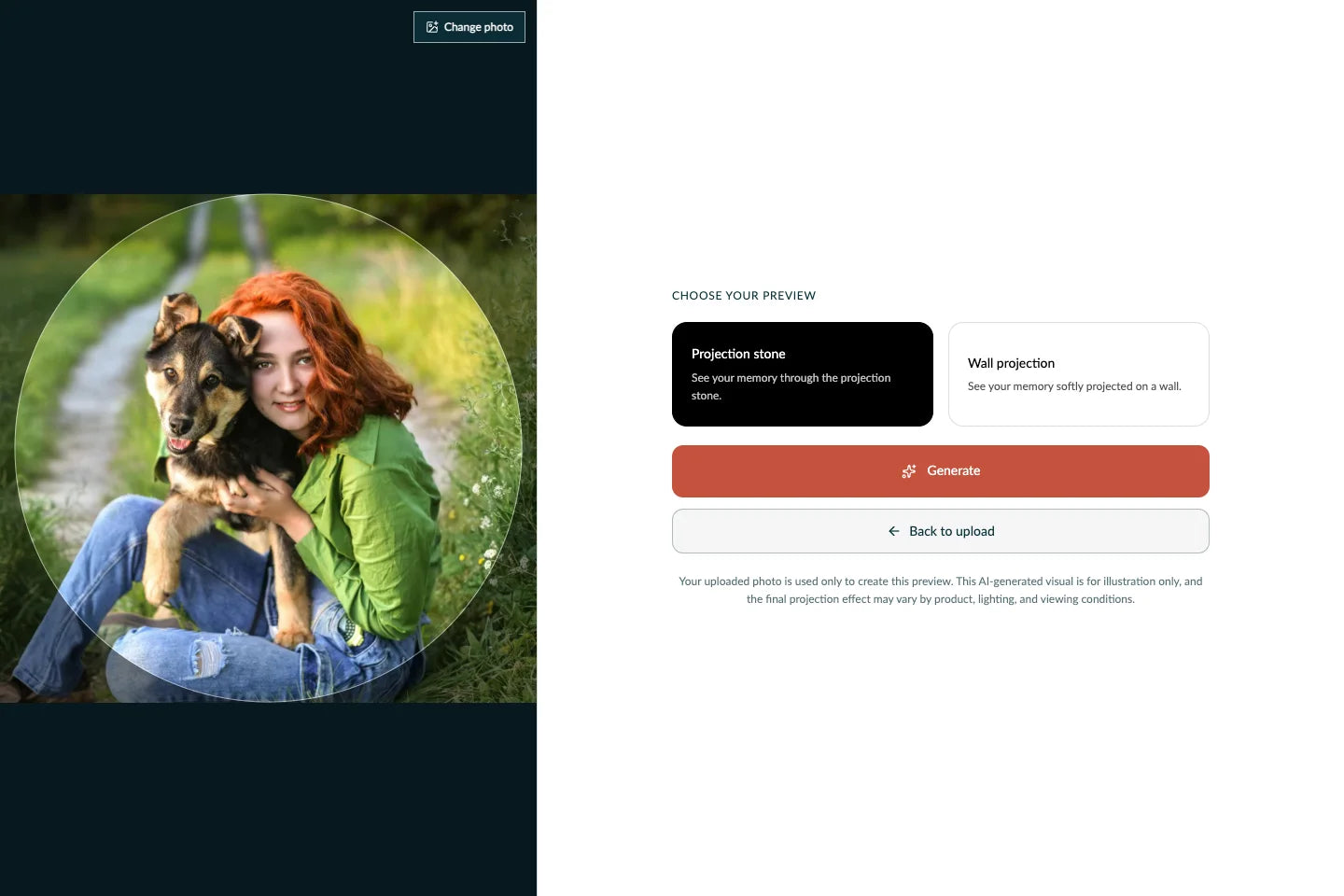Screenshot of the preview choices and Generate button.